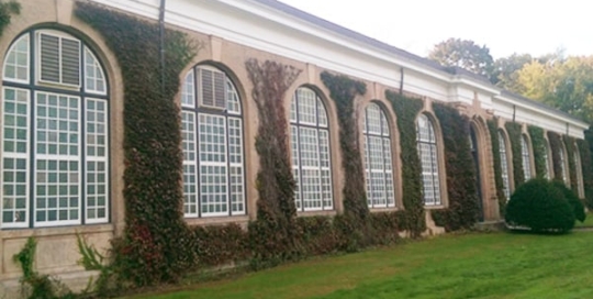 Professional Integrity and Excellence